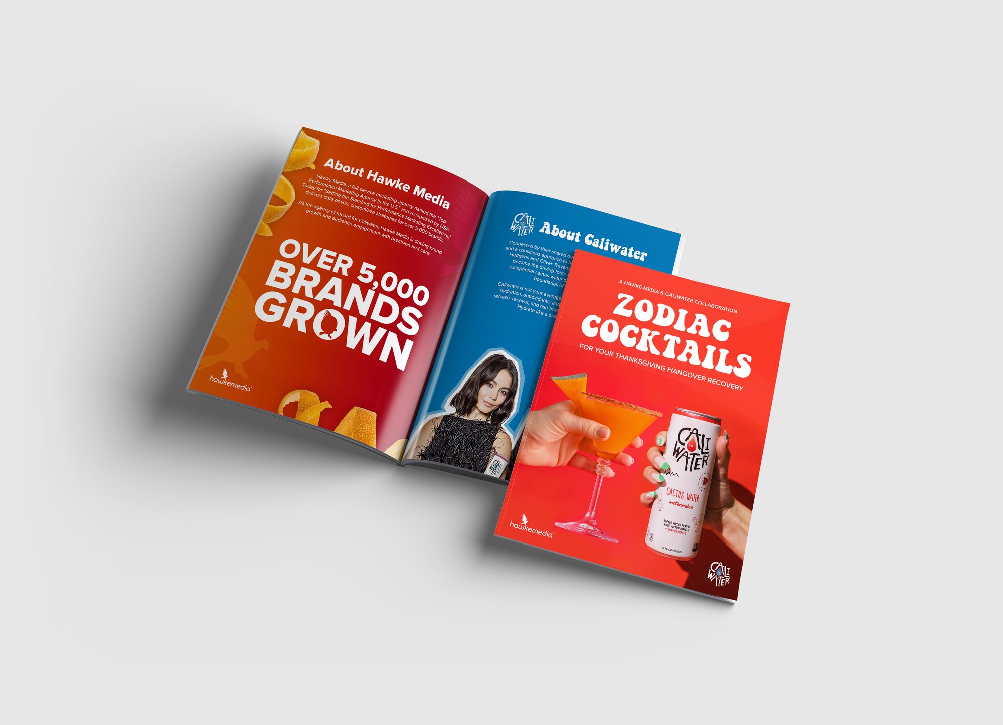 Background - Booklet Cover and Inner Page Mockup Background - Booklet Cover and Inner Page Mockup