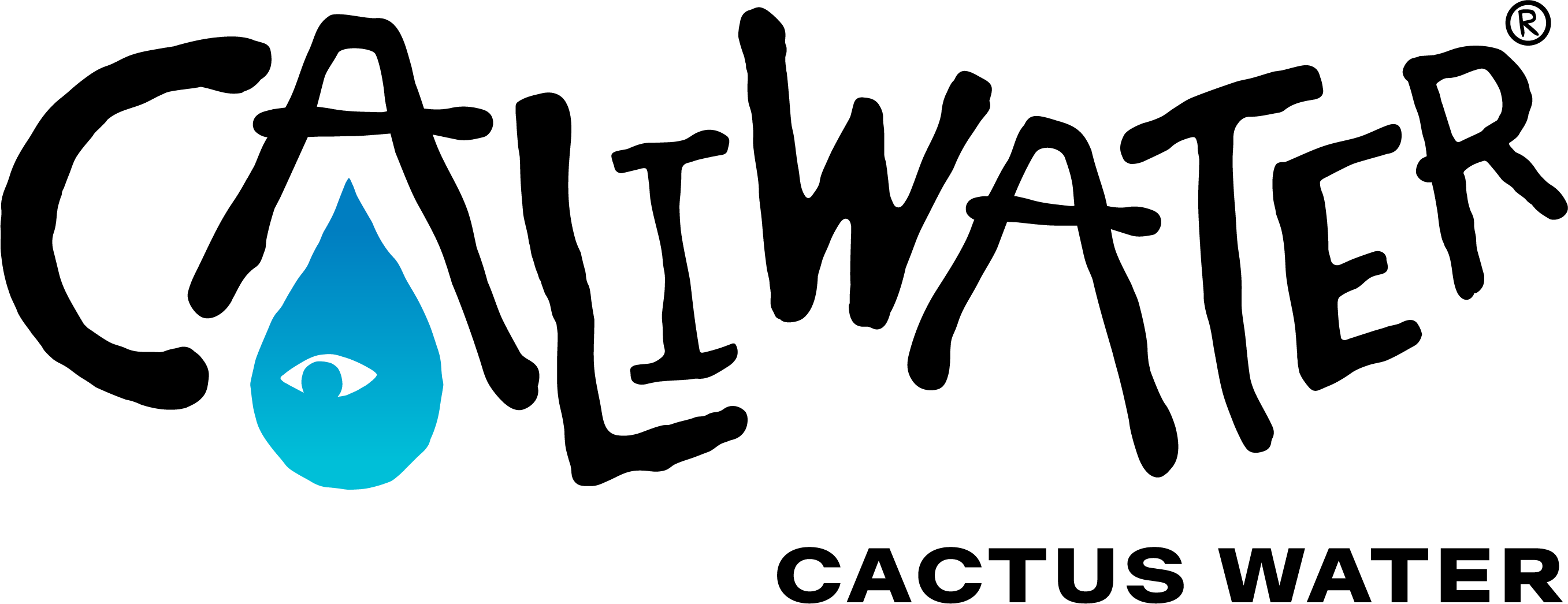 Caliwater_Logo_Horisontal@4x (2)